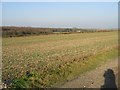 View NW from bridleway