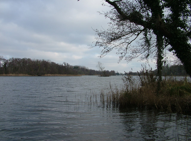 The western part of South Walsham Broad