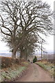 Track at Simprim, between Meigle and Ruthven