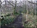 Footpath to Upper Skelmorlie