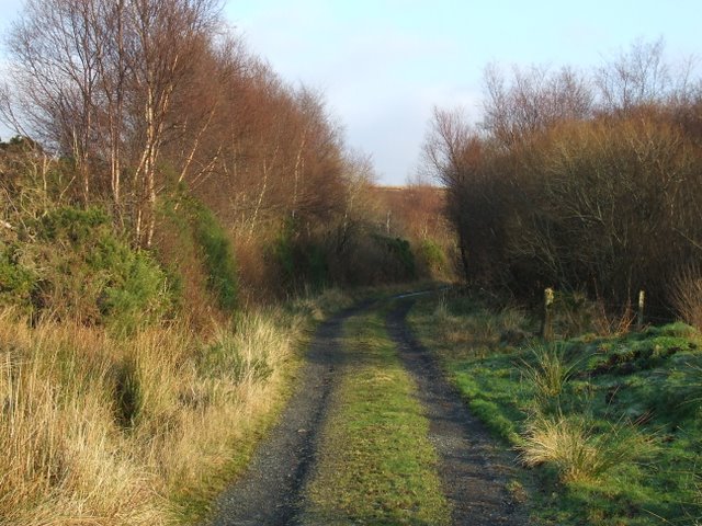 Track to Kelly Reservoir