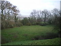 Looking down from the top of the Hen Domen castle mound