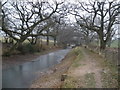 Bridge, on the Brecon Canal