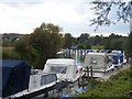 River Medway towards Wateringbury