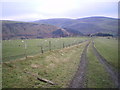 Farm track above Cwm-y-geifr