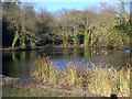 Vinters Valley Nature Reserve Lake