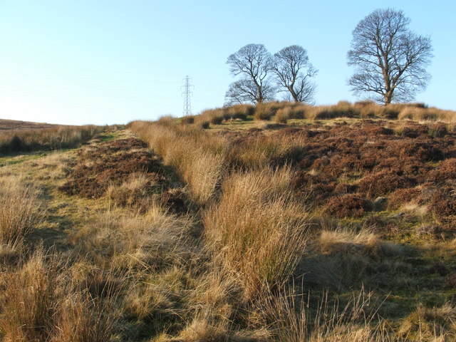 Lower end of ditch