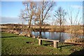 Ornamental Pond