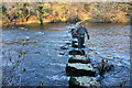 Stepping Stones Across the River Eden