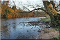 River Eden at Colby Laithes