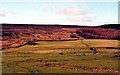 View from High Cliffe farmyard of moor and woods