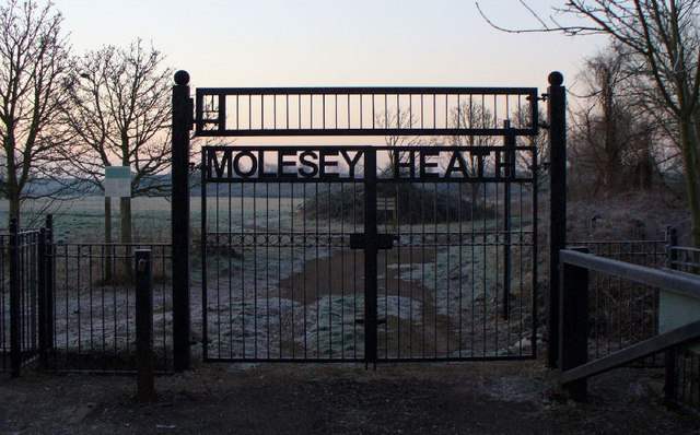 Gateway to Molesey Heath