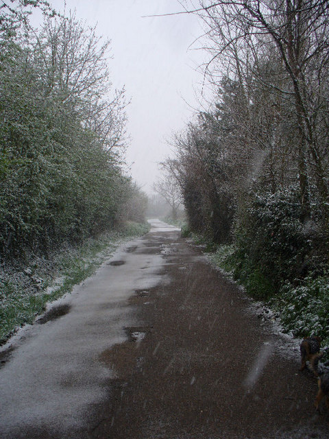 Fieldcommon Lane on a snowy morning