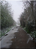 TQ1266 : Fieldcommon Lane on a snowy morning by Walter Koscielniak