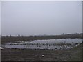 Wet winter farmland, Burscough