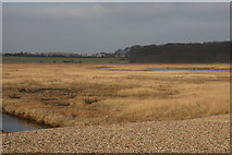 TM4872 : Reedland Marshes by Hugh Venables
