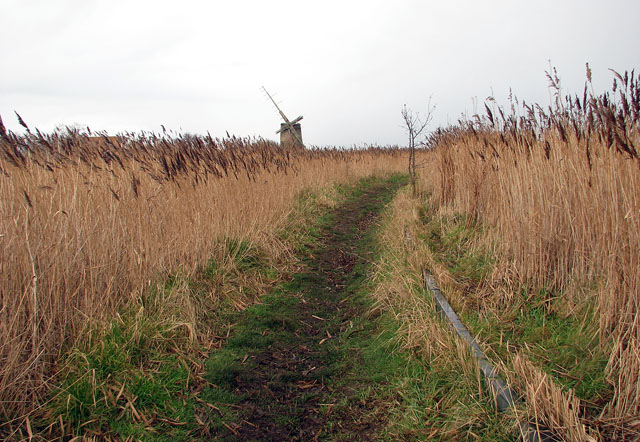 View north along the path