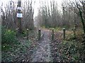 Footpath through Oxenden Wood