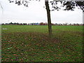 Playing Field off Clee Road