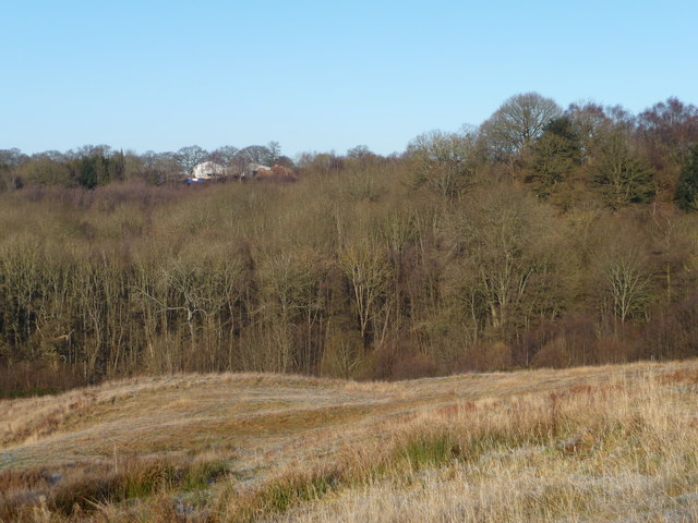Hunthouse Wood