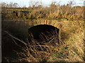 Stone Bridge over The Stell