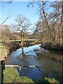 The River Wey near Frensham