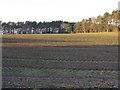 Field at the rear of The Park Gate pub