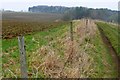 Track past Cotswold Farm