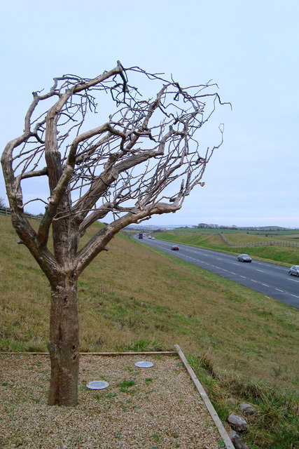 Tree sculpture on N15
