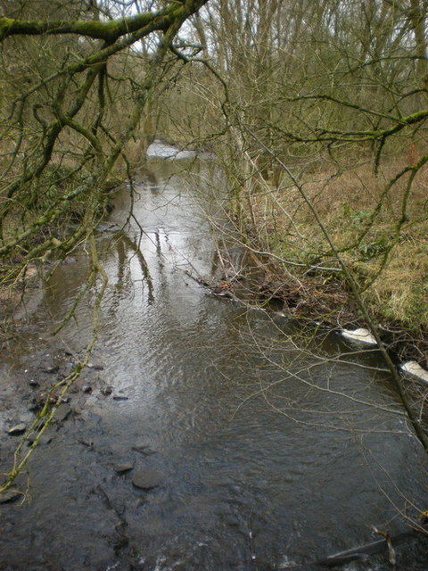 River Yarrow © Alexander P Kapp :: Geograph Britain and Ireland