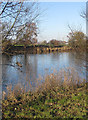 Across the Severn to New House