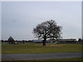 Trinity Park - Suffolk Showground