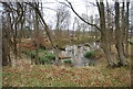 Small pond in a woodland near Turzes Farm