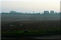 Misty evening in Gloucestershire