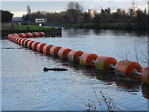 SK4630 : Barrier at Sawley Weir looking up the cut by Andy Jamieson