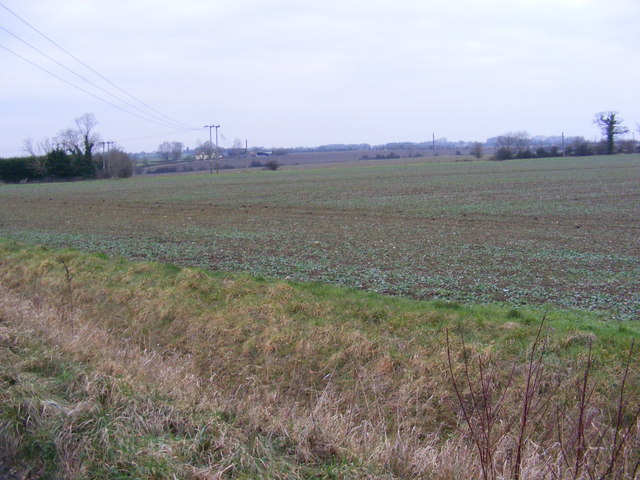 Looking across the fields from Pepperwash Lane