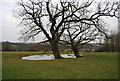 Pond, Lundsford Farm