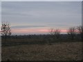 Towards Maldon from Footpath past Sains Hall