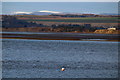 View over Montrose Basin into the distant Grampian Mountains