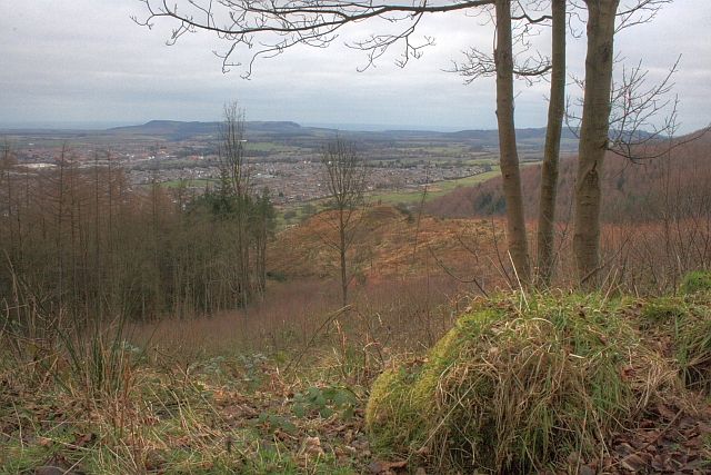 Recent Felling Highcliff Wood © Mick Garratt Geograph Britain And