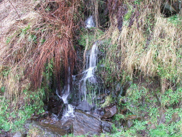 Small Waterfall on Braes of Gight