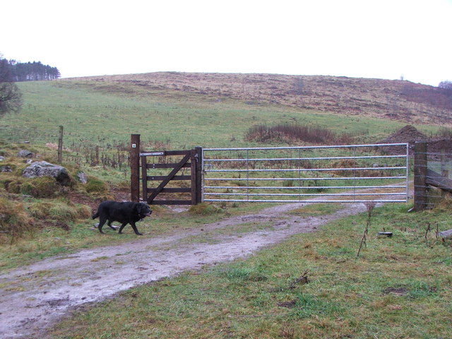 Gate on Braes of Gight Walk