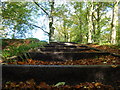 Stairs on footpath in Calderglen Country Park