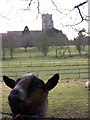 One Horned Goat greets Geographer