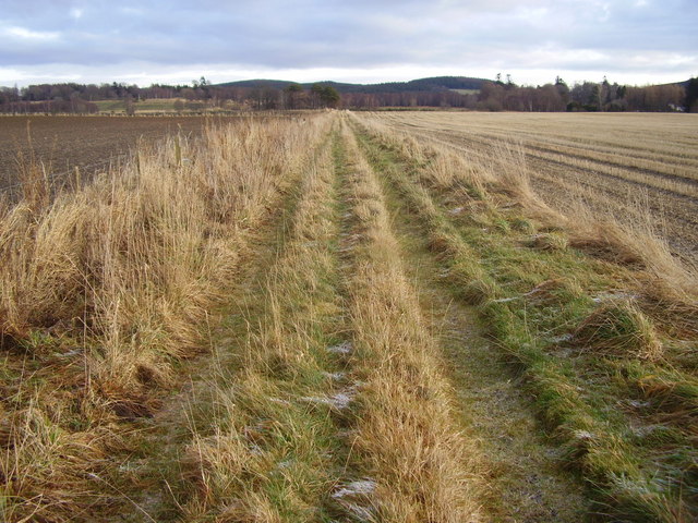Farm track near Huntly