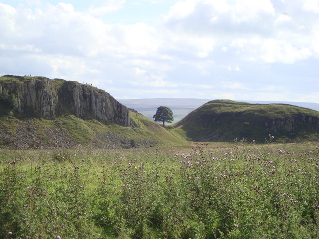 Looking Southwest towards Sycamore gap