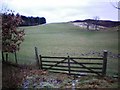 Pitcarmick hill pasture