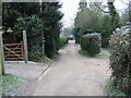 View along the path to St Leonard