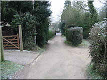 SU0091 : View along the path to St Leonard's church by Nick Smith