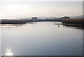 Exe Reedbeds Nature Reserve viewed across the river